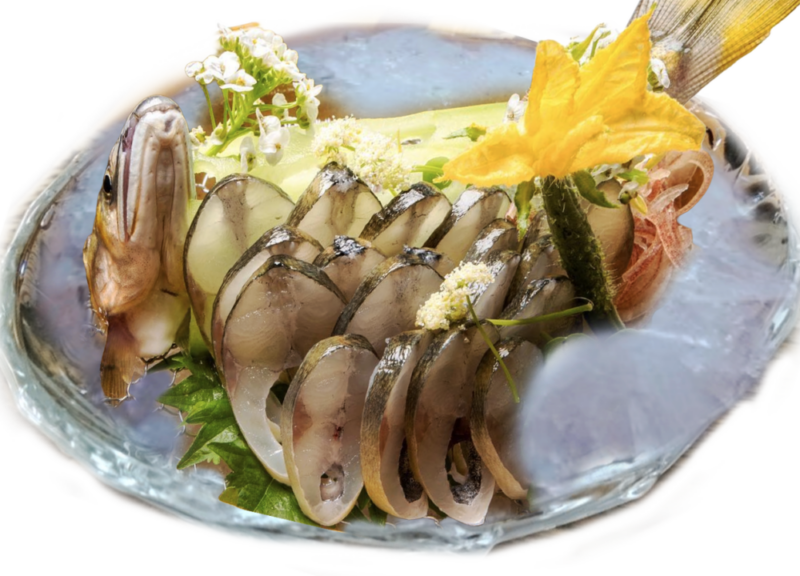 背越しお造り