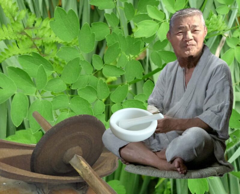 赤髭先生