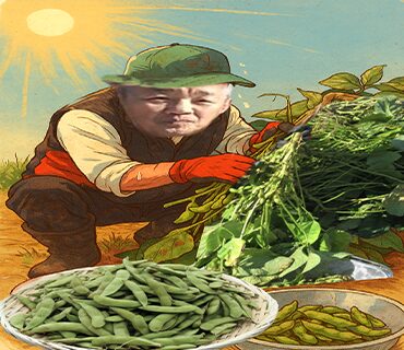 枝豆収穫