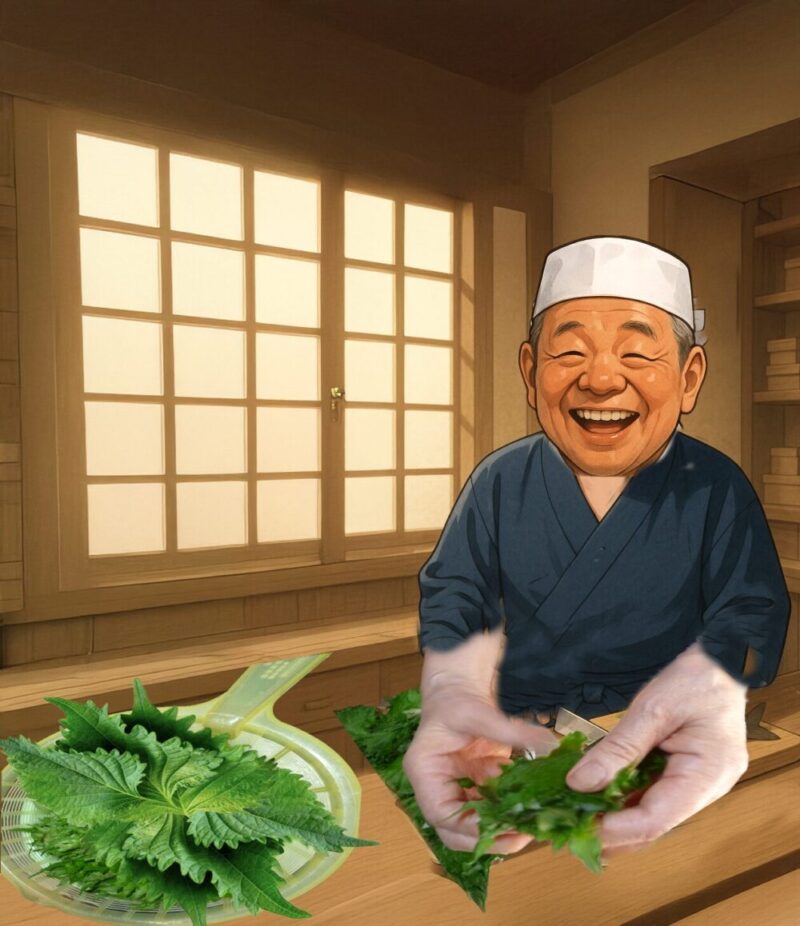 青紫蘇名人手