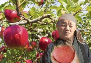 赤リンゴ