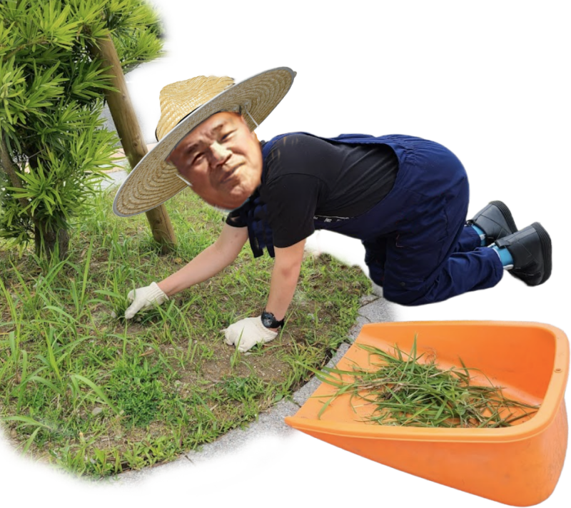 草むしり作業