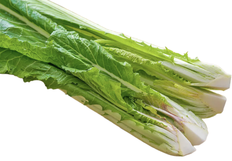 水洗い後の野沢菜