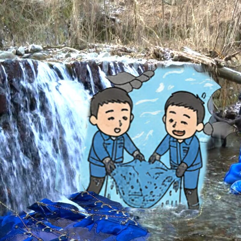 清流仕込み