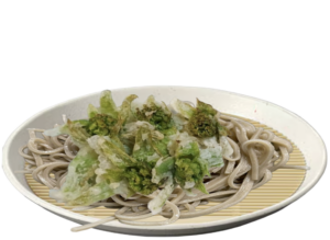 ぶっかけ蕎麦