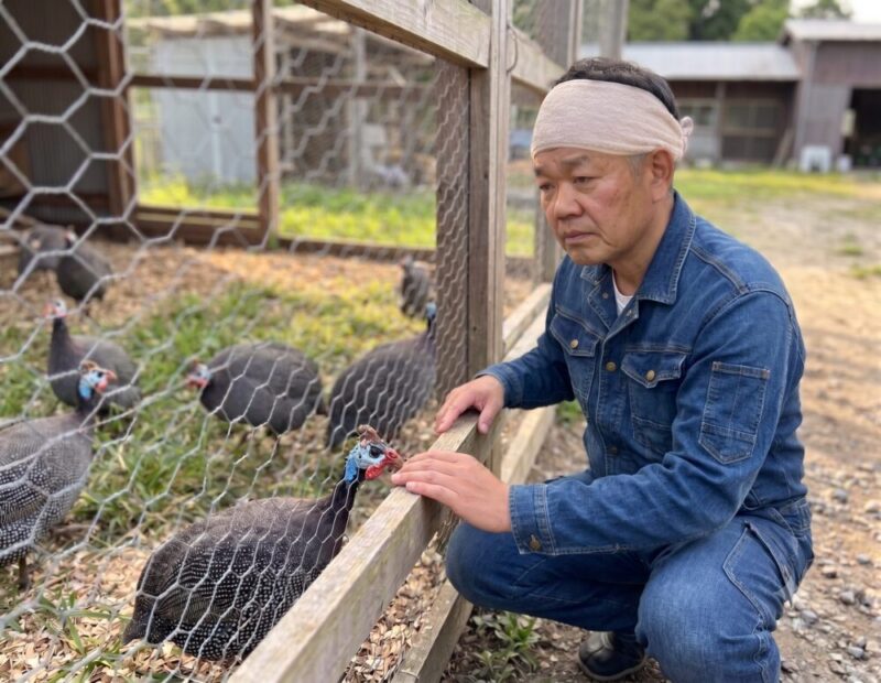 飼育中