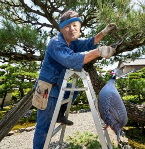 ホロホロ客人