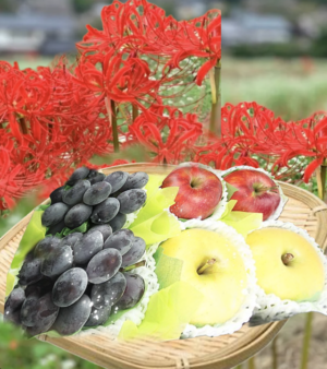 曼珠沙華